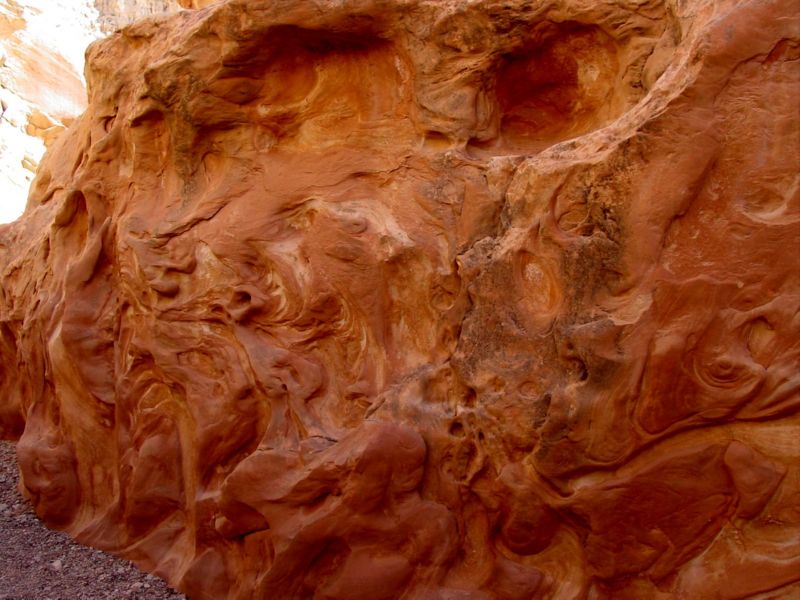 04160302LittleWildHorse (1025)